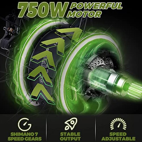 ECOTRIC Adult Electric Bike 26 x 4.0 in Fat Tires, 750W, 48V 13AH - Hammer