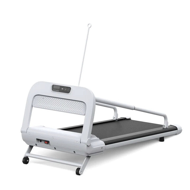Witaxima Pet Treadmill, 2.5HP, 41.34 x 15.75 in Running Surface, Off White