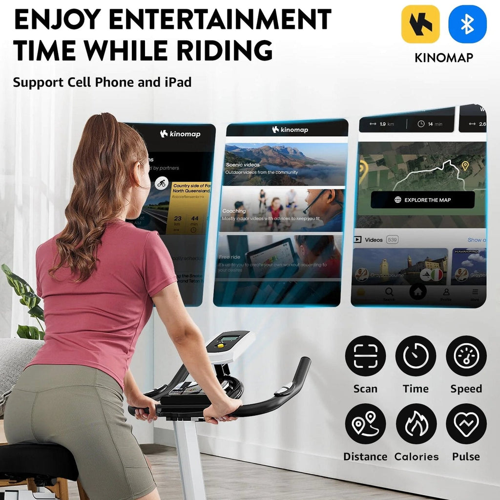 Pooboo Indoor Cycling Bike With 40lb Flywheel And 350lb Capacity - D518M1