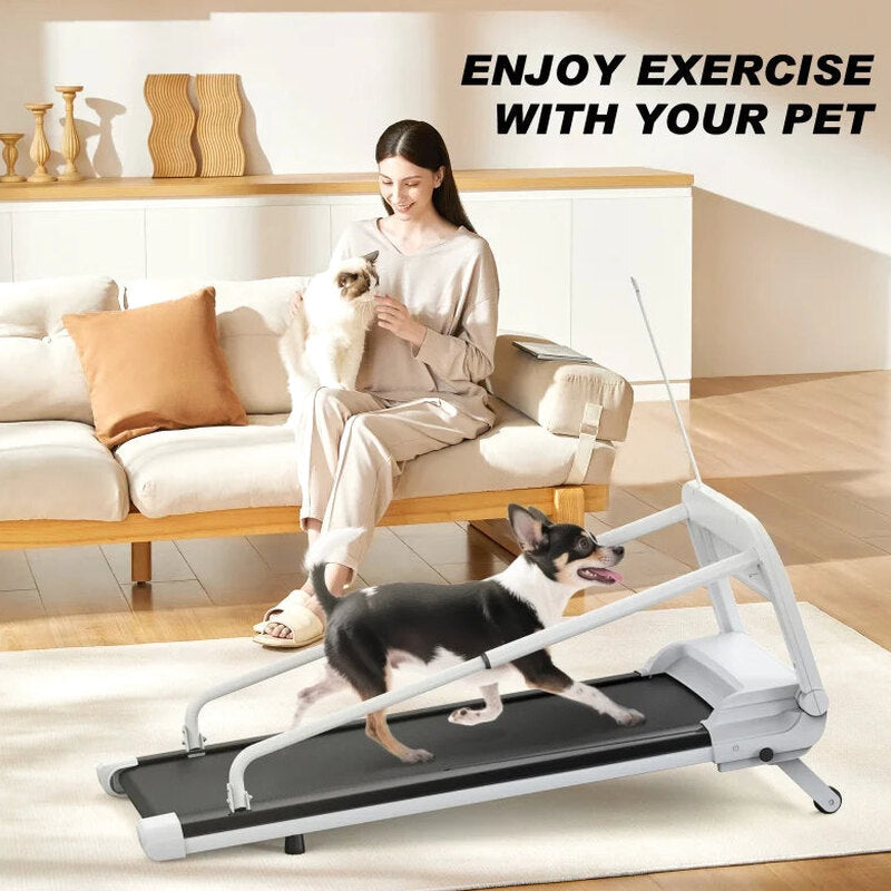 Witaxima Pet Treadmill, 2.5HP, 41.34 x 15.75 in Running Surface, Off White
