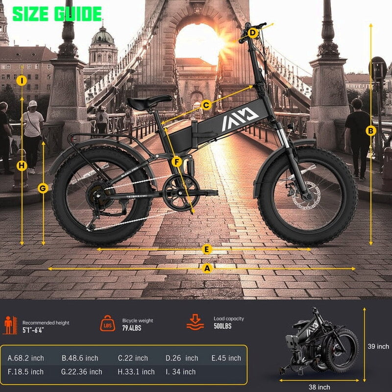 TST 4.0 Fat Tire Foldable Electric Bike, 48V 13Ah, 750W, 20 inch, Black