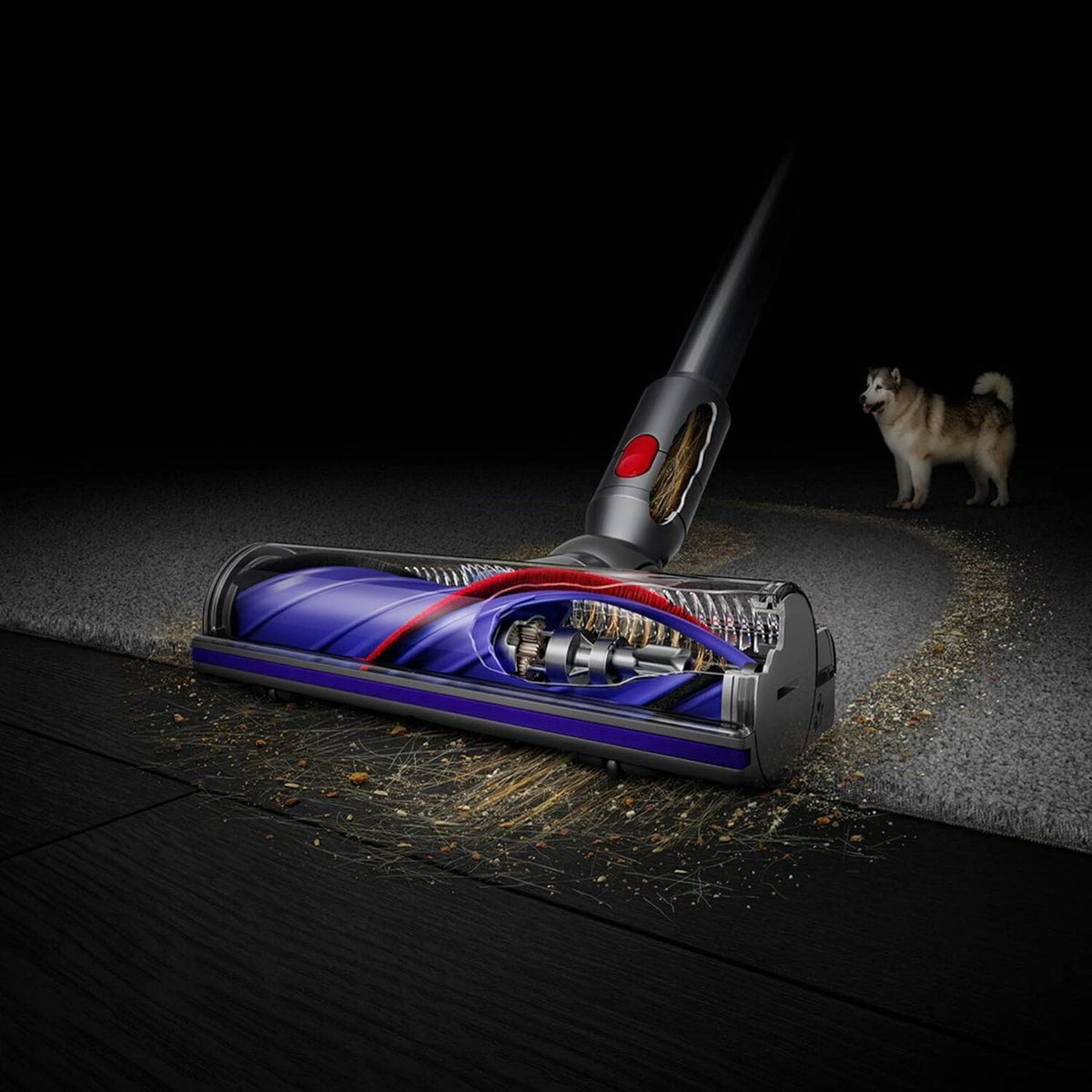 Dyson V8 Plus Cordless Vacuum Cleaner - SV25