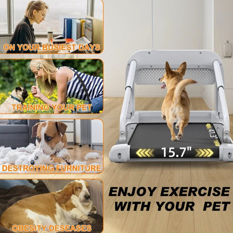 Witaxima Pet Treadmill, 2.5HP, 41.34 x 15.75 in Running Surface, Off White