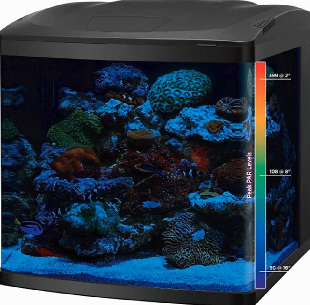 BIOCUBE LED Aquarium Tank And Stand Kit, 32 Gallon, Blue/White