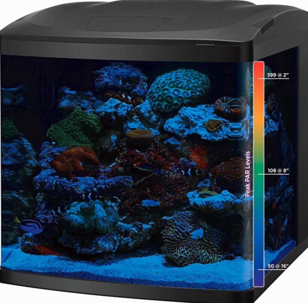 BIOCUBE LED Aquarium Tank And Stand Kit, 32 Gallon, Blue/White